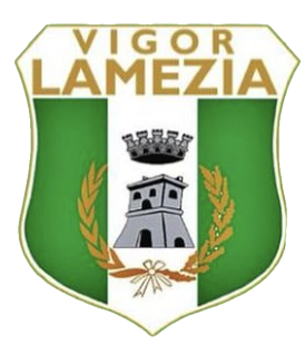 logo vigor lamezia
